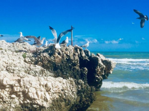 Il gabbiano, attico con terrazzo vista mare Peschici